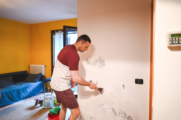 Best Office Mold Removal Services  in Dubois, PA
