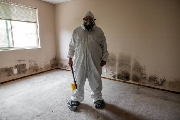 Best Attic Mold Removal  in Dubois, PA